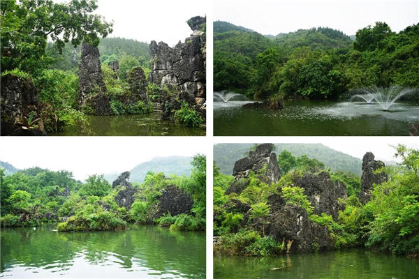 多彩貴州，魅力天下，2021年廣東博皓快樂貴州行-5