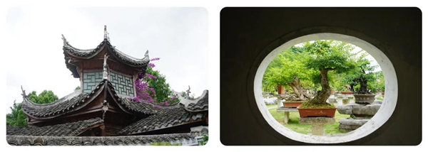 多彩貴州，魅力天下，2021年廣東博皓快樂貴州行-14