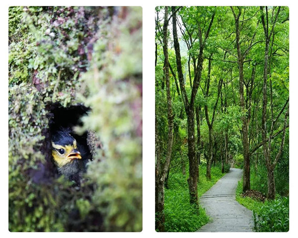 多彩貴州，魅力天下，2021年廣東博皓快樂貴州行-24