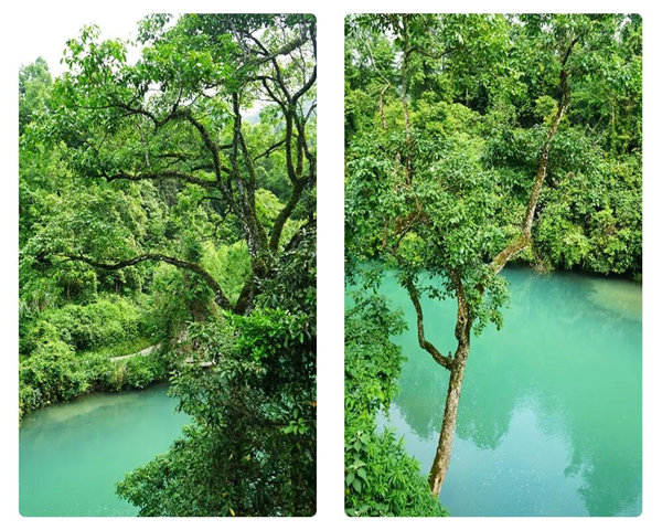 多彩貴州，魅力天下，2021年廣東博皓快樂貴州行-29