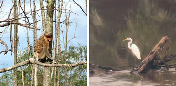 廿載風云一路行，馬來風情共見證&mdash;&mdash;2024廣東博皓馬來西亞之旅   -13