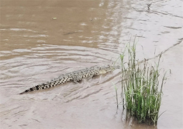 廿載風云一路行，馬來風情共見證&mdash;&mdash;2024廣東博皓馬來西亞之旅   -15