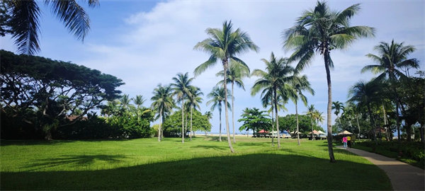 廿載風云一路行，馬來風情共見證&mdash;&mdash;2024廣東博皓馬來西亞之旅   -25